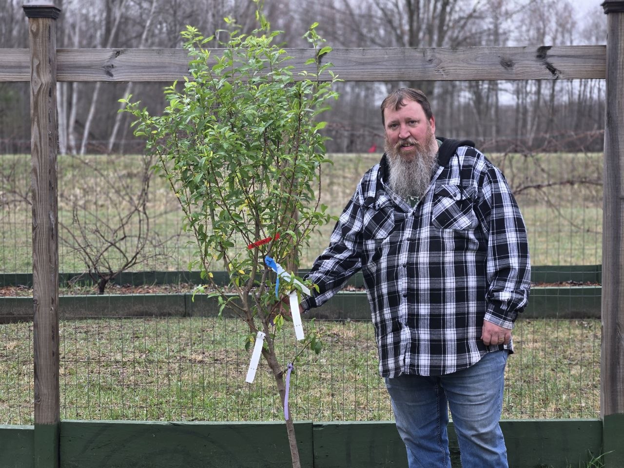 Standing with the 4-in-1 fruit tree