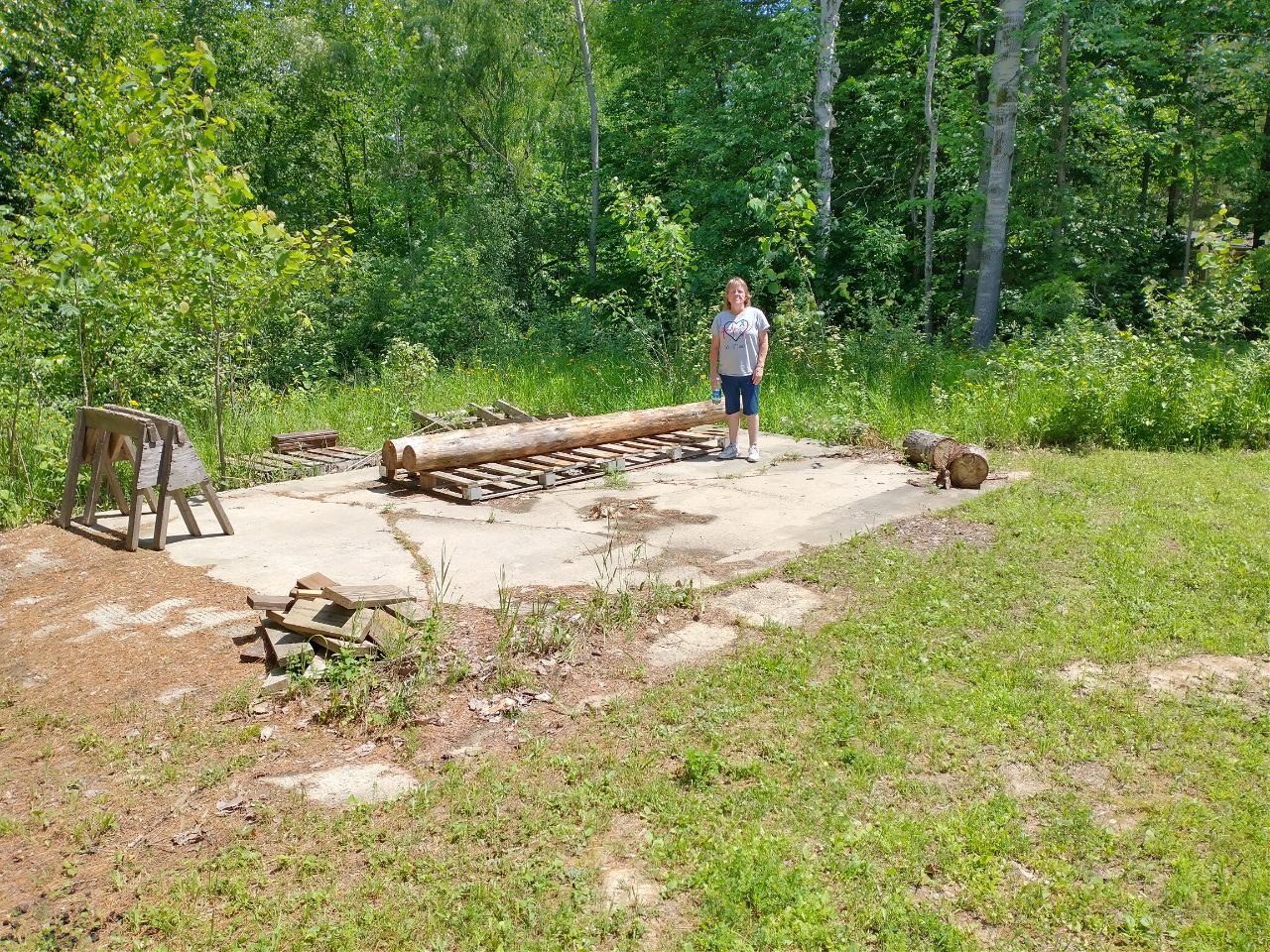 Old concrete slab and logs at the cabin property
