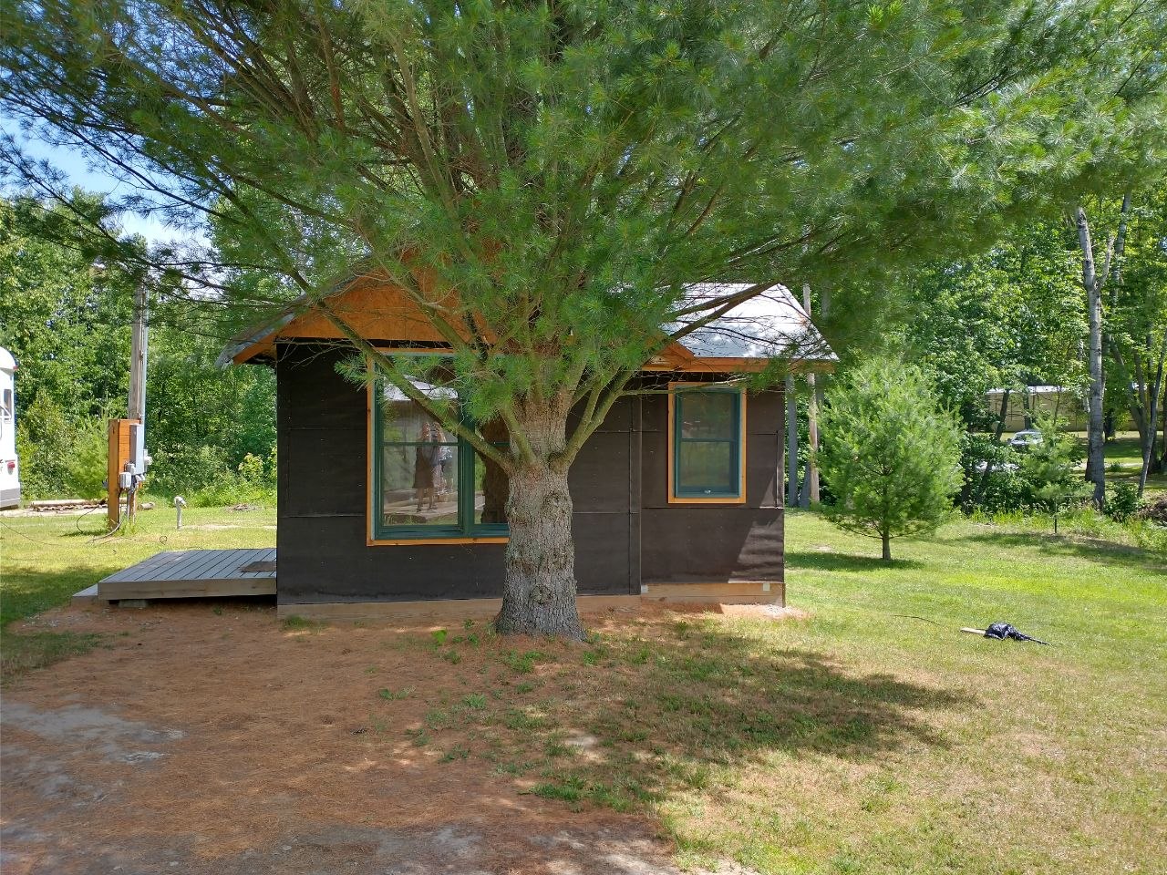 Small dark cabin structure under a big tree at the property