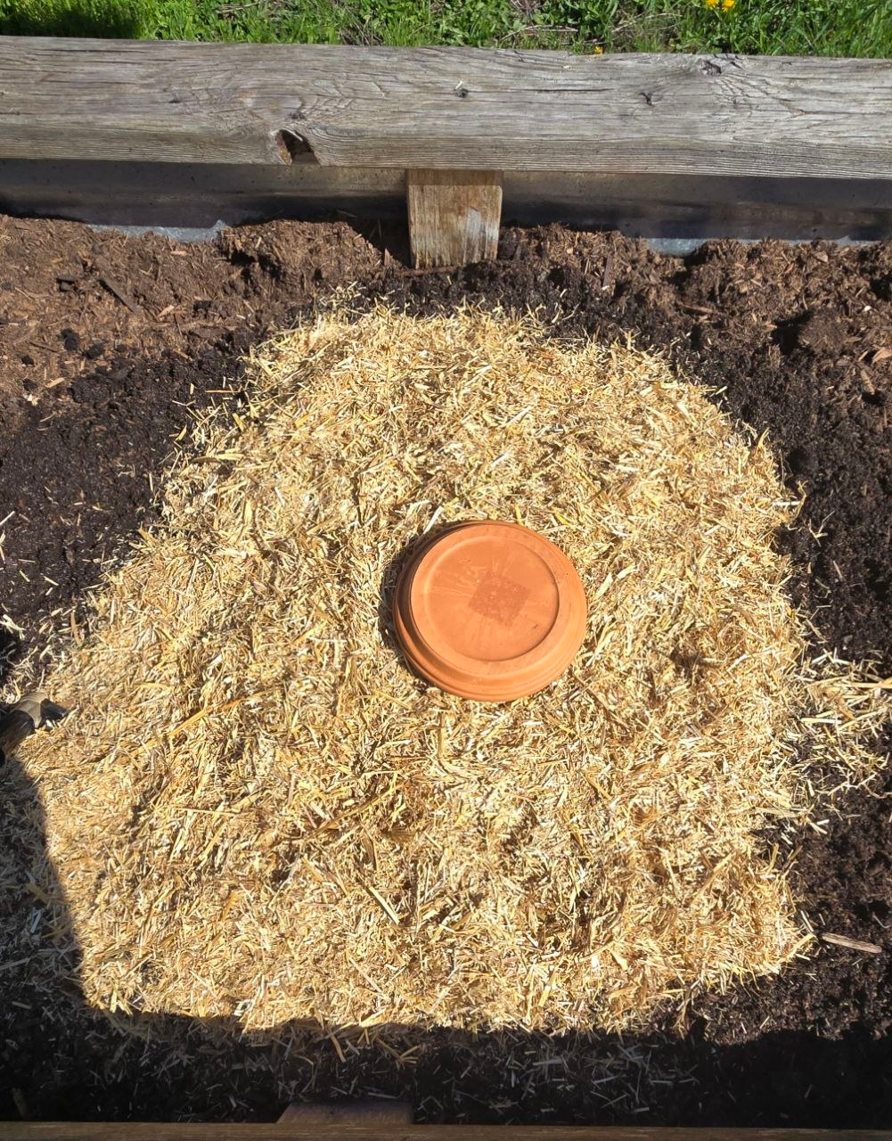 Lid placed on top of the installed olla