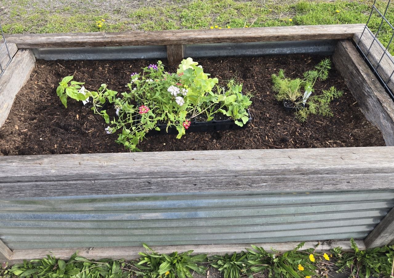 A raised garden bed ready for a mix of vegetables, herbs, and flowers.
