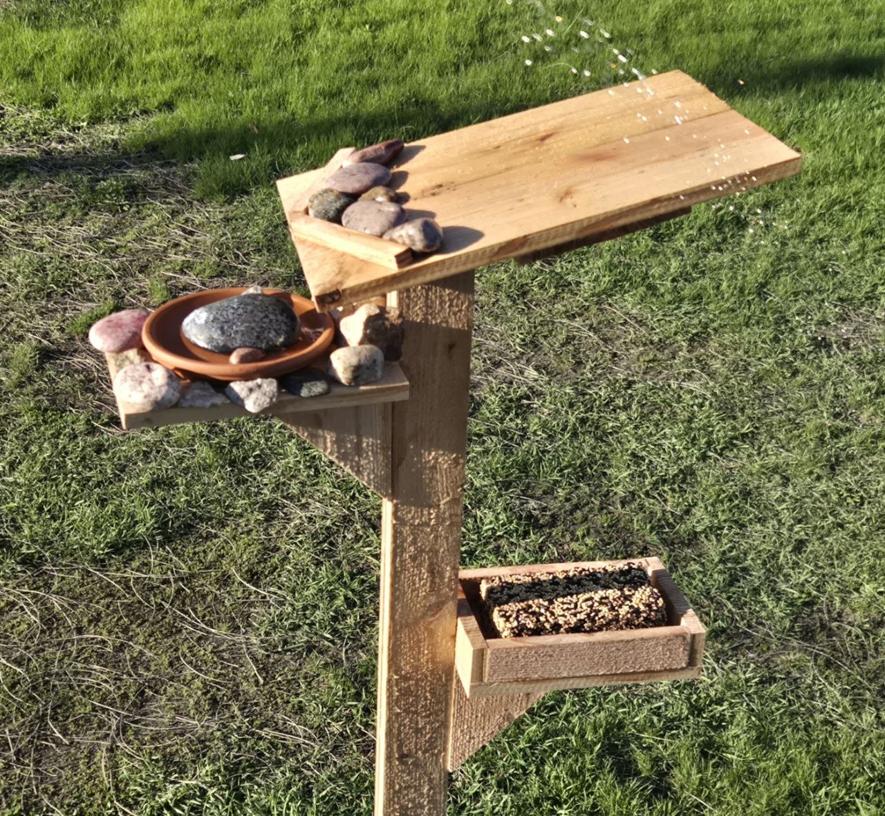 Finished bird, squirrel, and critter feeding and watering station