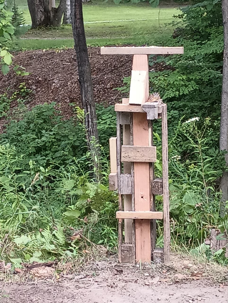 Full view of the squirrel playground build