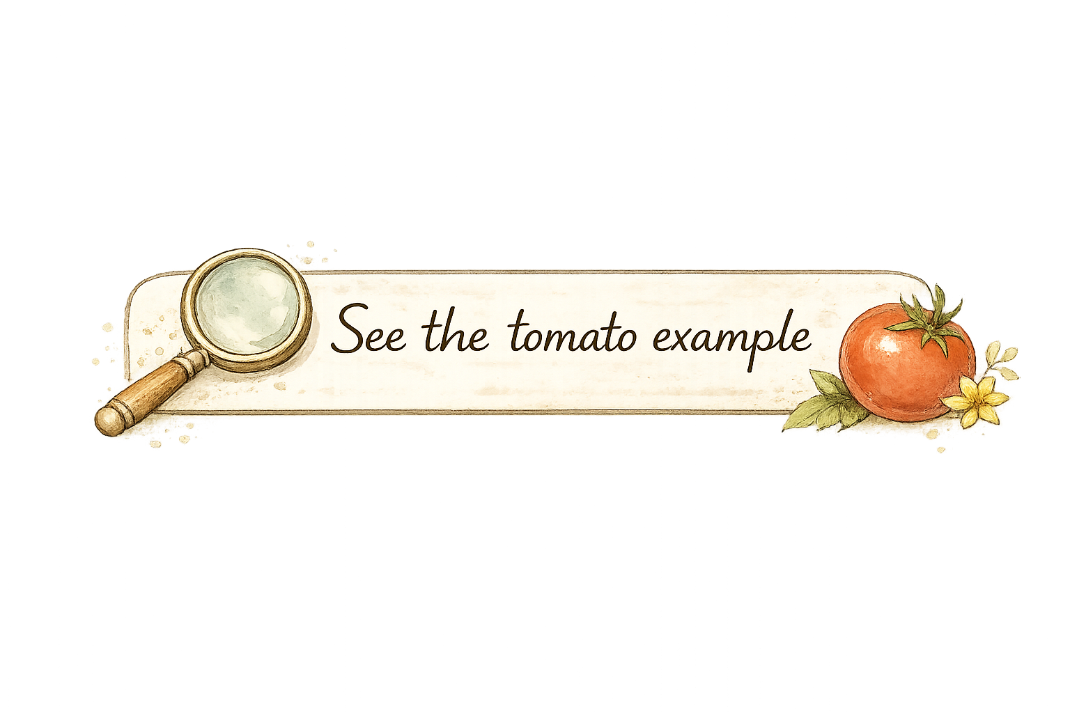 Tomato Example