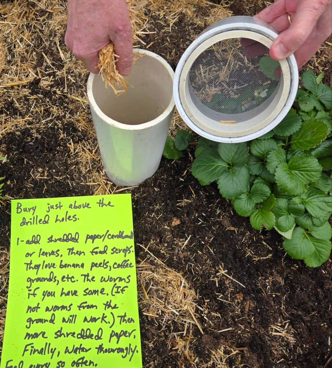 Worm tube installed in bed with plants nearby