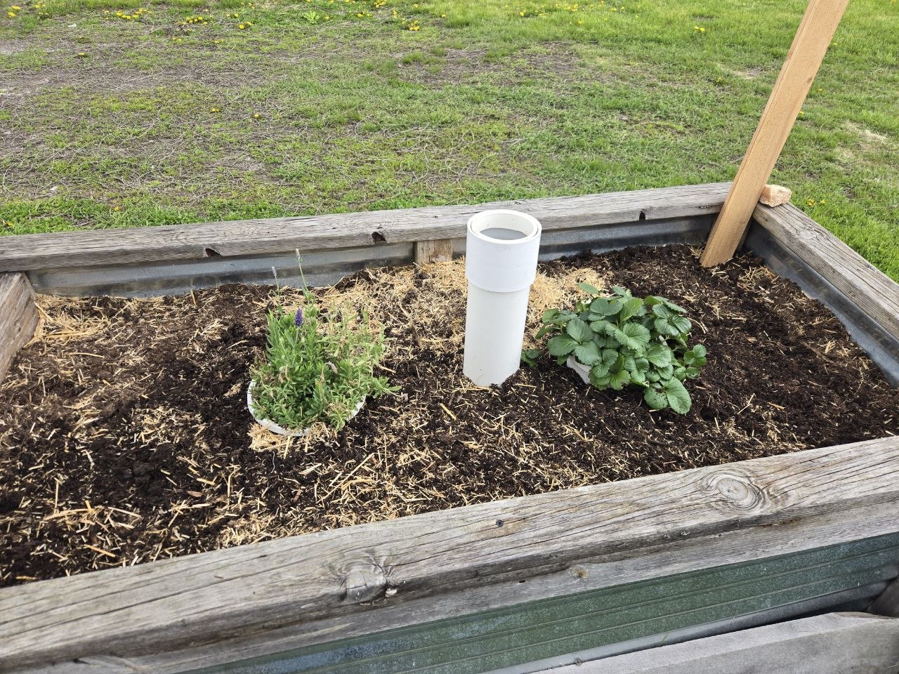 Finished worm tube system in raised bed